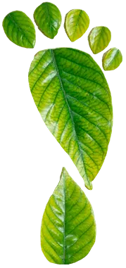 Landing Papel Aluminio copy.08